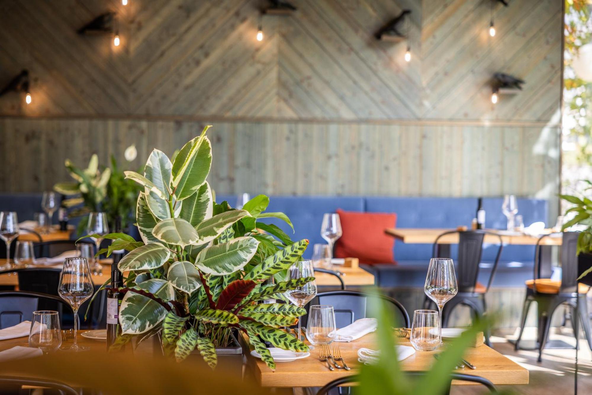 Boutique Hotel Sunrose 7 - Gourmet & Spa (Adults Only) Бохин Екстериор снимка